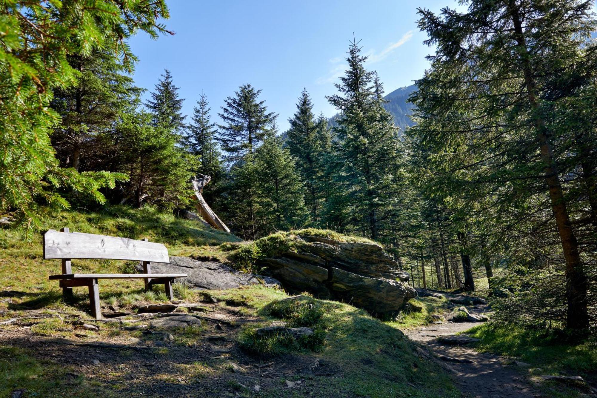 Ferienwohnung Innerhofer Hollersbach im Pinzgau Eksteriør billede